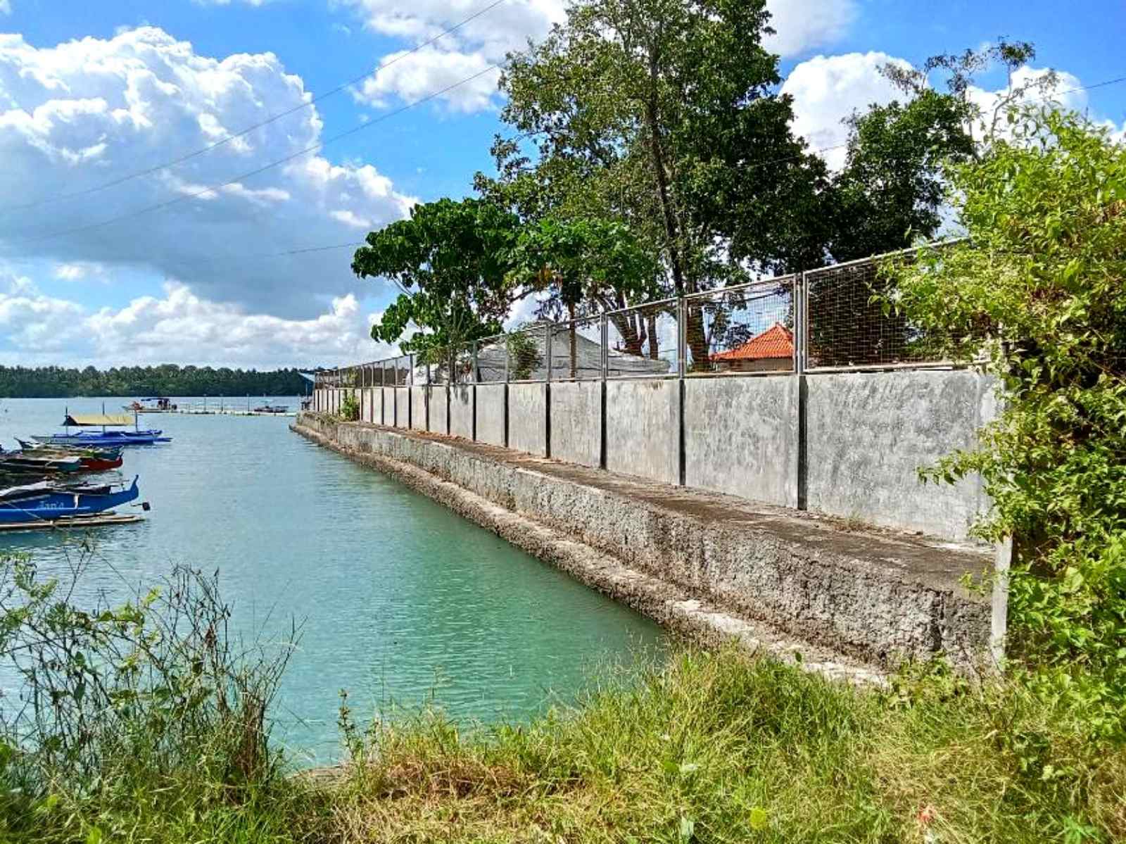 Lubi Pindasan Davao Reclamation 3